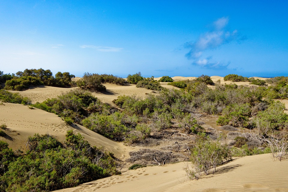 [Veloturk Gran Fondo Çeşme]