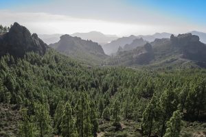 [Veloturk Gran Fondo Çeşme]