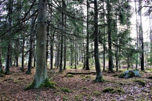 [Veloturk Gran Fondo Çeşme]