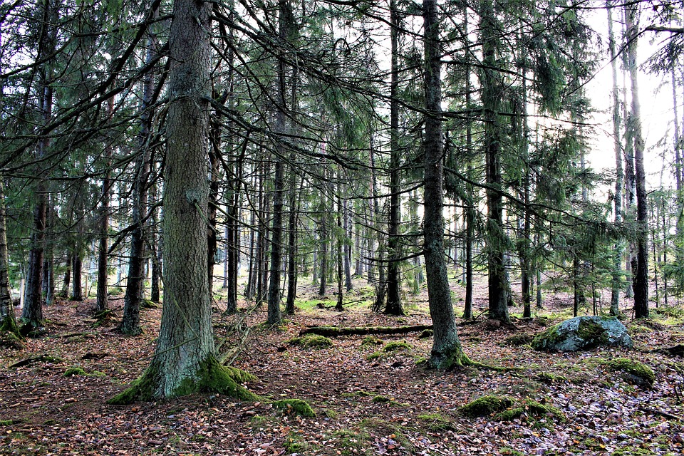 [Veloturk Gran Fondo Çeşme]