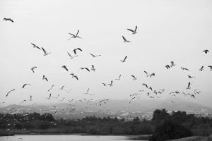 [Veloturk Gran Fondo Çeşme]