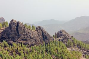 [Veloturk Gran Fondo Çeşme]