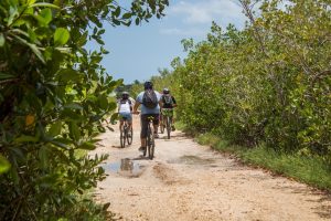 [L’Étape Türkiye cycling]