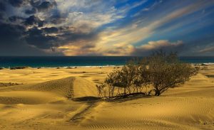 [Veloturk Gran Fondo Çeşme]
