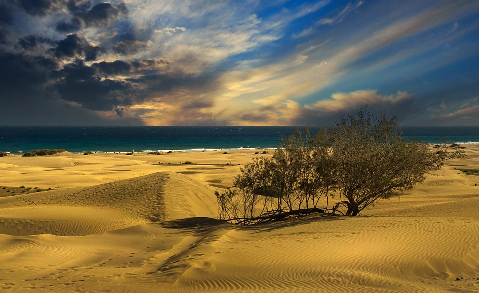 [Veloturk Gran Fondo Çeşme]