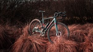 [Presidential Cycling Tour of Türkiye]