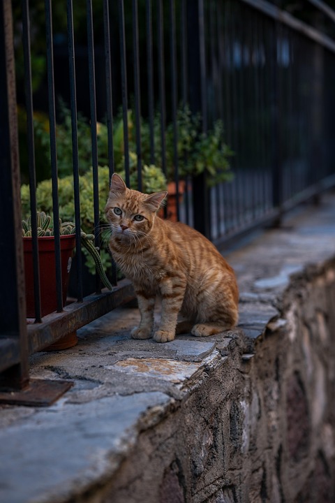 [Turkcell Granfondo İzmir]