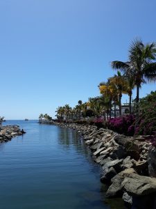 [Veloturk Gran Fondo Çeşme]