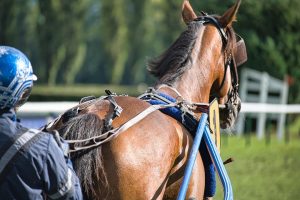 [Race Across America cycling]