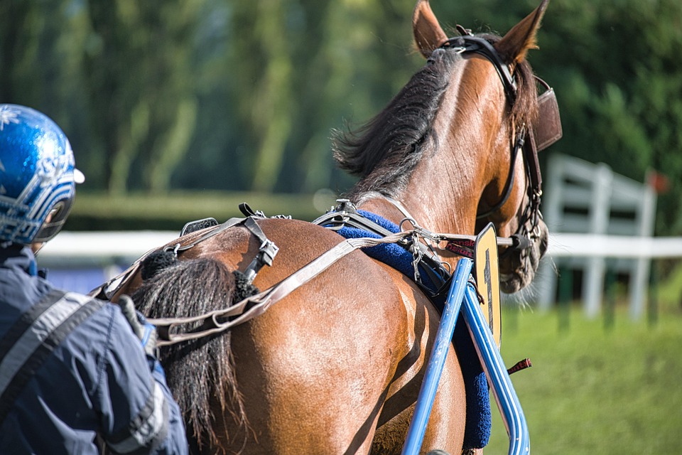 [Race Across America cycling]