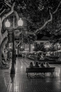 [Veloturk Gran Fondo Çeşme]