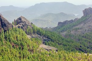 [Veloturk Gran Fondo Çeşme]