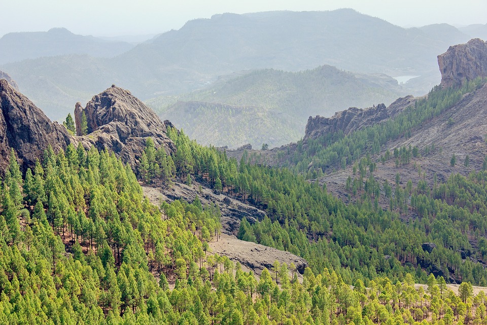 [Veloturk Gran Fondo Çeşme]