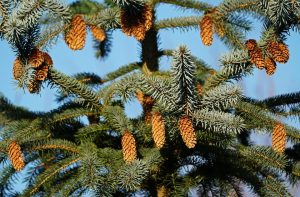 [Veloturk Gran Fondo Çeşme]