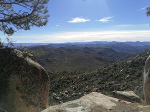 [Quebrantahuesos y Treparriscos]