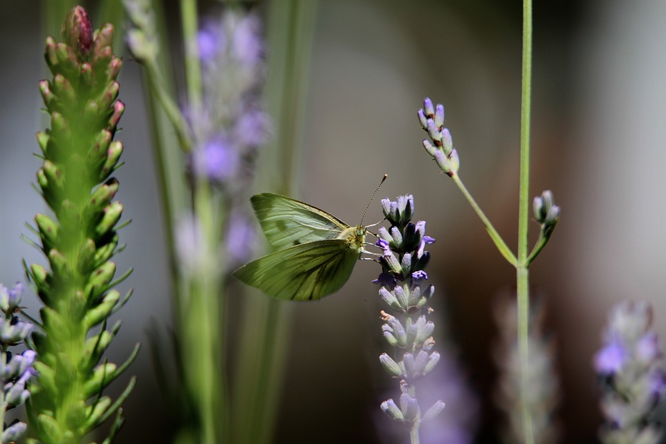 [Veloturk Gran Fondo Çeşme]