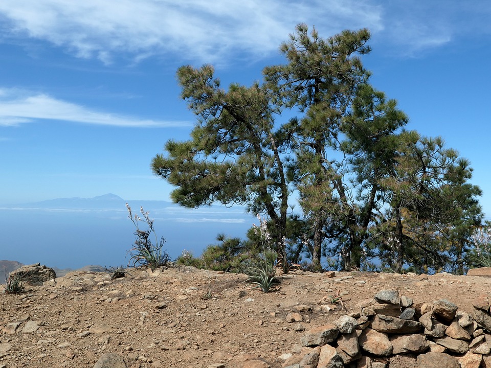 [Veloturk Gran Fondo Çeşme]
