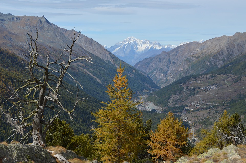 [Veloturk Gran Fondo Çeşme]