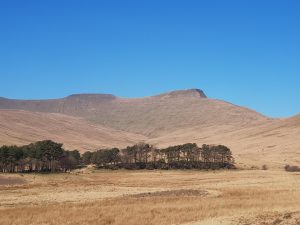 [Quebrantahuesos y Treparriscos]