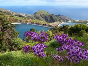 [Quebrantahuesos y Treparriscos]